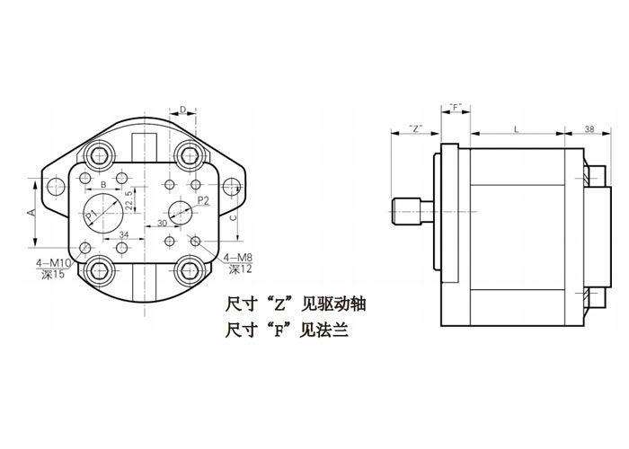 CB-HD-單聯(lián)齒輪泵-尺寸2.jpg